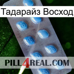 Тадарайз Восход viagra3